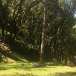 Camping La Corconne - Bild 4