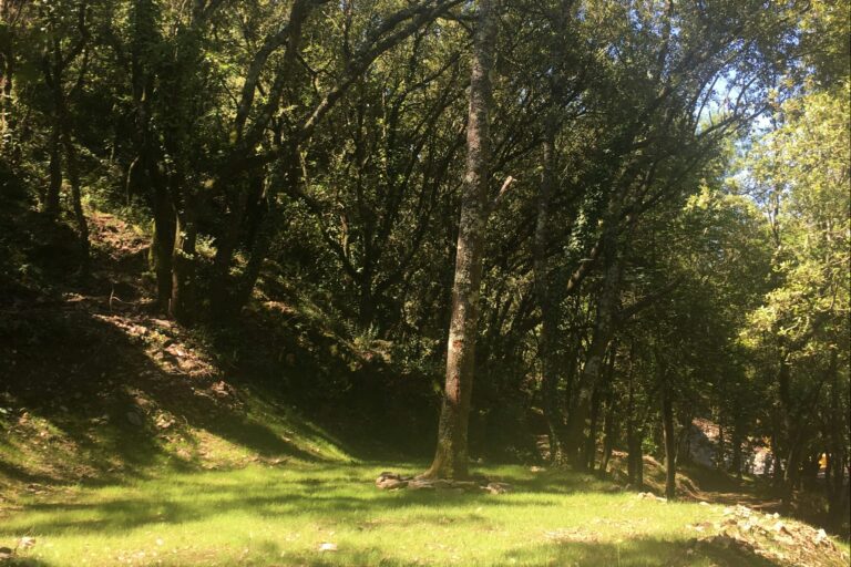 Camping La Corconne - Bild 4