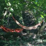 Camping La Corconne - Bild 7