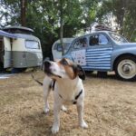 Camping La Ferme De Lann Hoedic - Bild 10