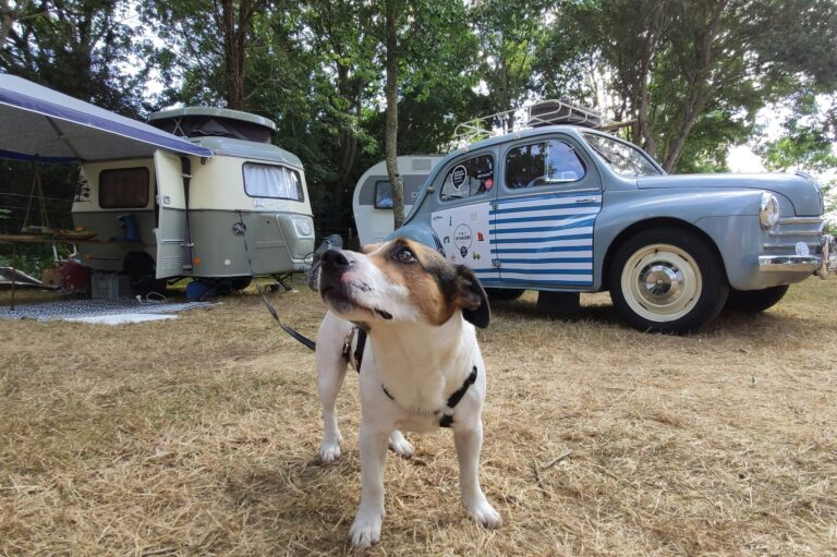 Camping La Ferme De Lann Hoedic - Bild 10