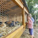 Camping La Ferme De Lann Hoedic - Bild 12