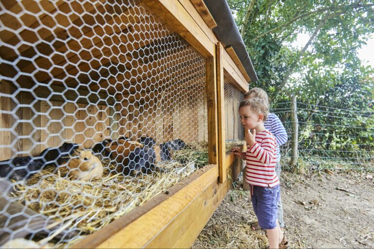 Camping La Ferme De Lann Hoedic - Bild 12