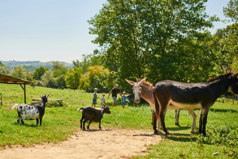 Camping La Ferme Des 4 Chênes - Bild 8