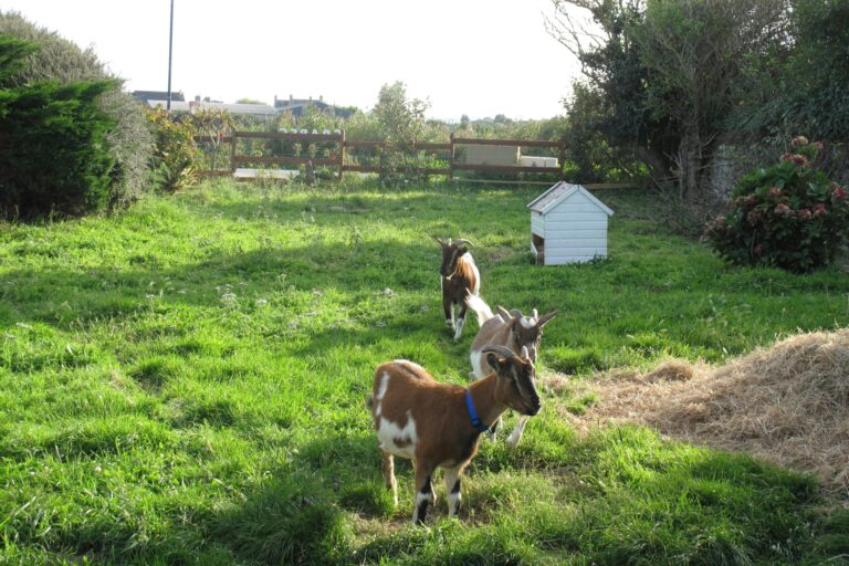 Camping La Ferme Du Bord De Mer - Bild 3