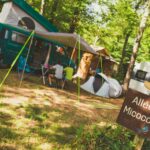 Camping La Grand'terre - Bild 19