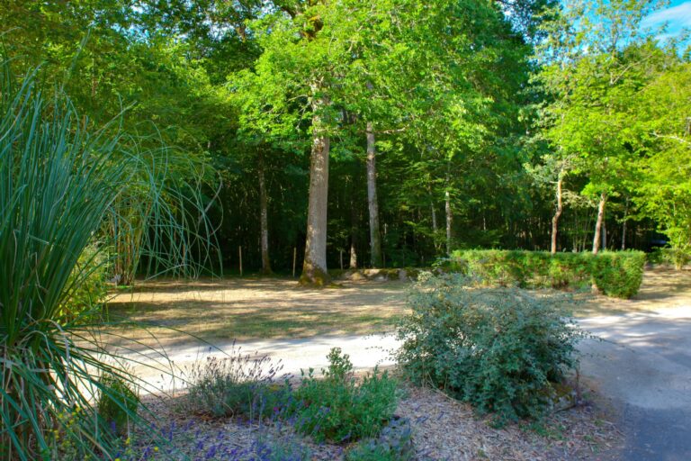 Camping La Grande Tortue - Bild 14