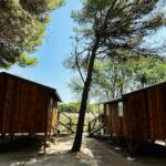 Camping La Grange Neuve - Bild 3