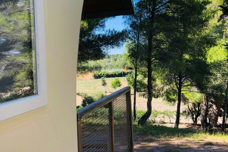 Camping La Grange Neuve - Bild 7