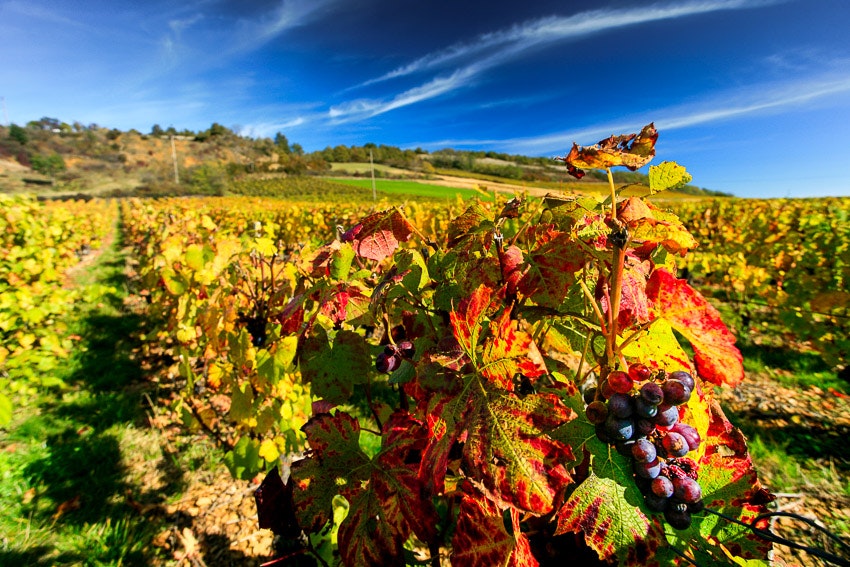 Camping La Grappe Fleurie - Bild 18 Camping La Grappe Fleurie - Bild 18