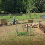 Camping La Lenotte - Bild 12