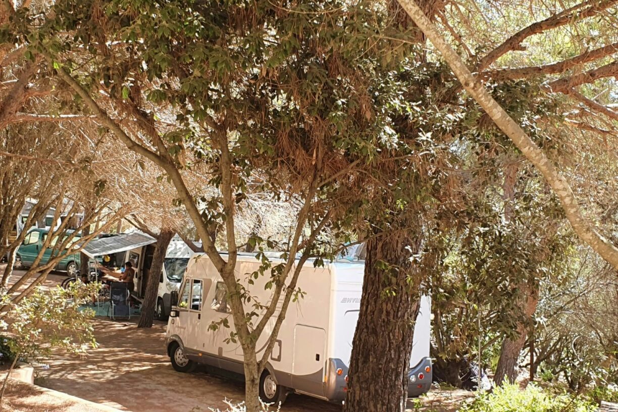 Camping La Liccia - Bild 6 Camping La Liccia - Bild 6