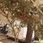 Camping La Liccia - Bild 6 Camping La Liccia - Bild 6