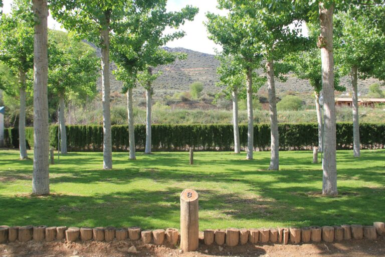 Camping La Noguera - Bild 4