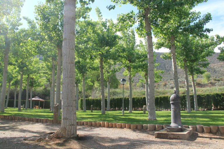 Camping La Noguera - Bild 5