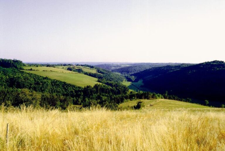 Camping La Nouvelle Croze - Bild 11