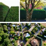 Camping La Nouvelle Croze - Bild 14