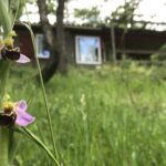 Camping La Peyrugue - Bild 3 Camping La Peyrugue - Bild 3