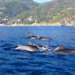 Camping La Pineta - Bild 3