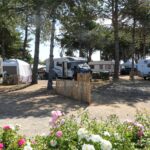 Camping La Renaudière - Bild 2