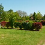 Camping La Roseraie D'omaha - Bild 5