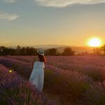 Camping La Rouvière Les Pins - Bild 13 Camping La Rouvière Les Pins - Bild 13