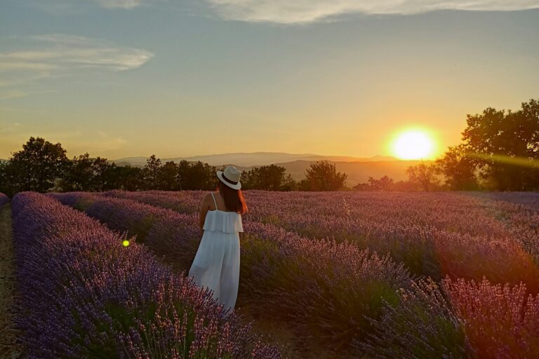 Camping La Rouvière Les Pins - Bild 13 Camping La Rouvière Les Pins - Bild 13