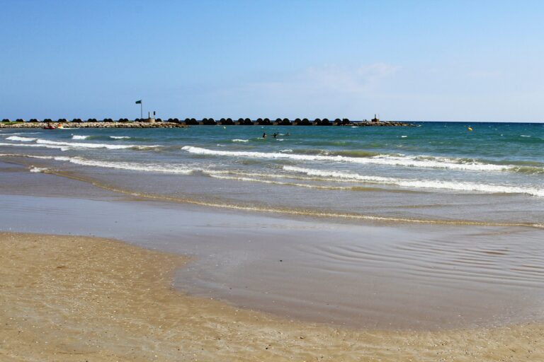 Camping La Rueda - Bild 8