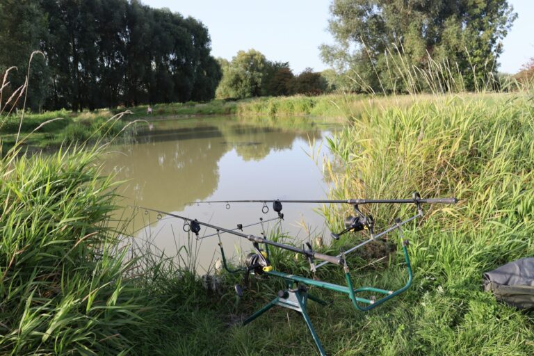 Camping La Safrière - Bild 12