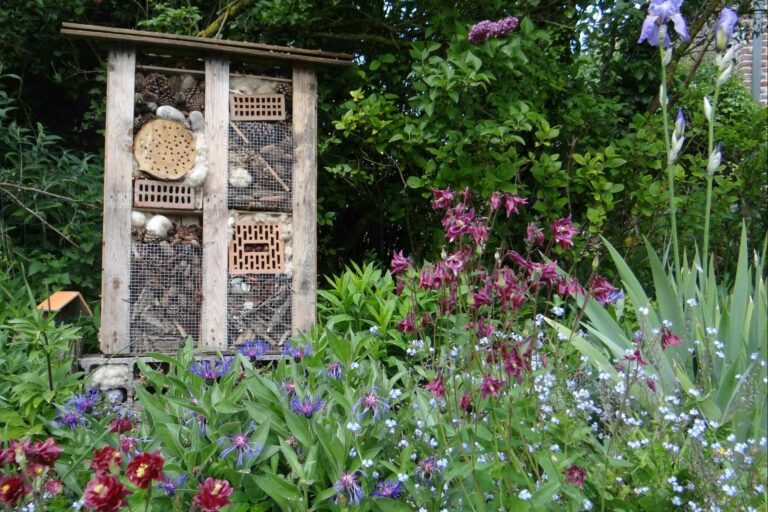 Camping La Safrière - Bild 16