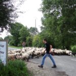 Camping La Safrière - Bild 7