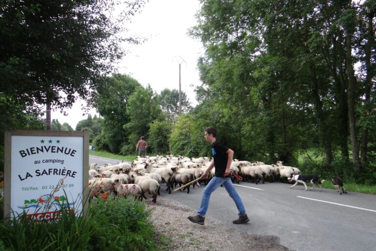 Camping La Safrière - Bild 7