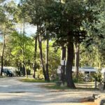 Camping La Simioune - Bild 1