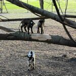 Camping La Vallée De L'indre - Bild 12