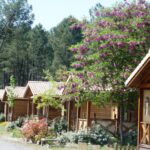 Camping Landes Oceanes - Bild 2