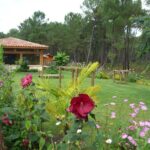 Camping Landes Oceanes - Bild 7