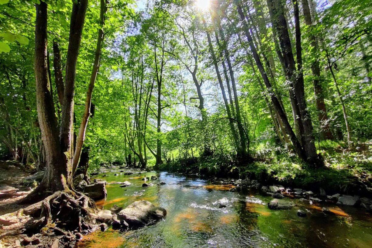 Camping L' Eau Rouge - Bild 11 Camping L' Eau Rouge - Bild 11