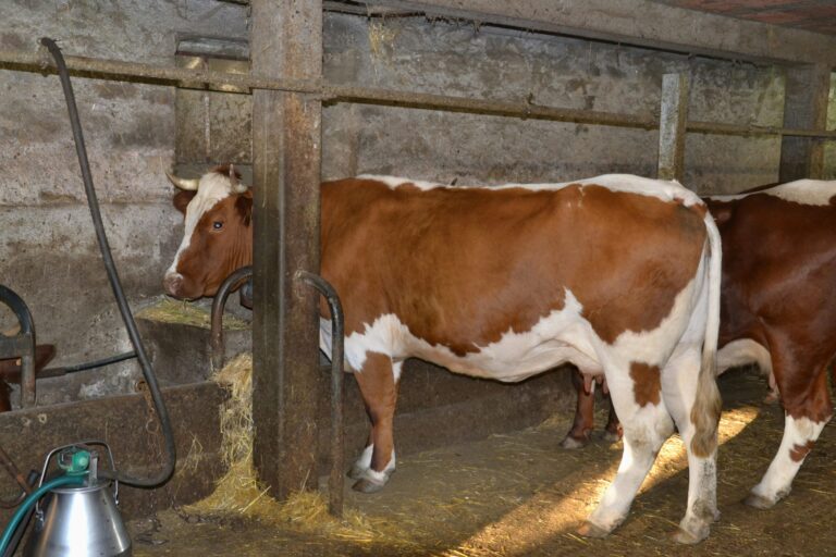 Camping L'air Du Temps - Bild 6