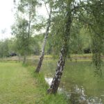 Camping L'étang Bleu - Bild 11