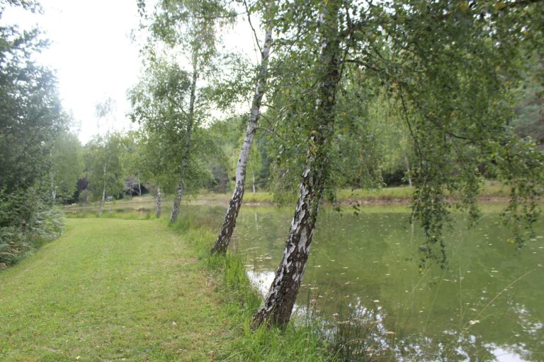 Camping L'étang Bleu - Bild 11