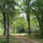 Camping L'étang Bleu - Bild 9