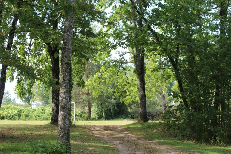 Camping L'étang Bleu - Bild 9