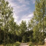 Camping L'heureux Hasard - Bild 6