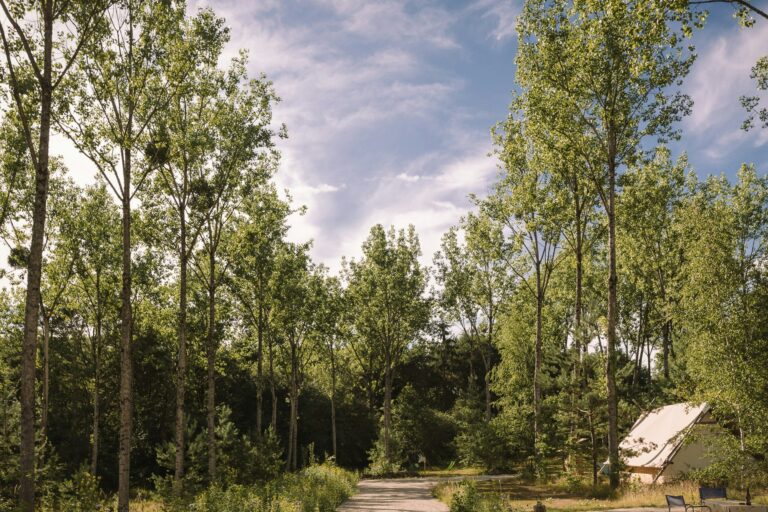 Camping L'heureux Hasard - Bild 6