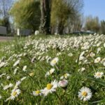 Camping L'ile D'amour - Bild 10