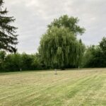 Camping L'ile D'amour - Bild 3