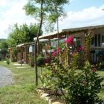 Camping L'oasis Des Garrigues - Bild 16