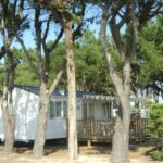 Camping L'océan - Bild 2