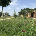 Camping L'offrerie - Bild 7