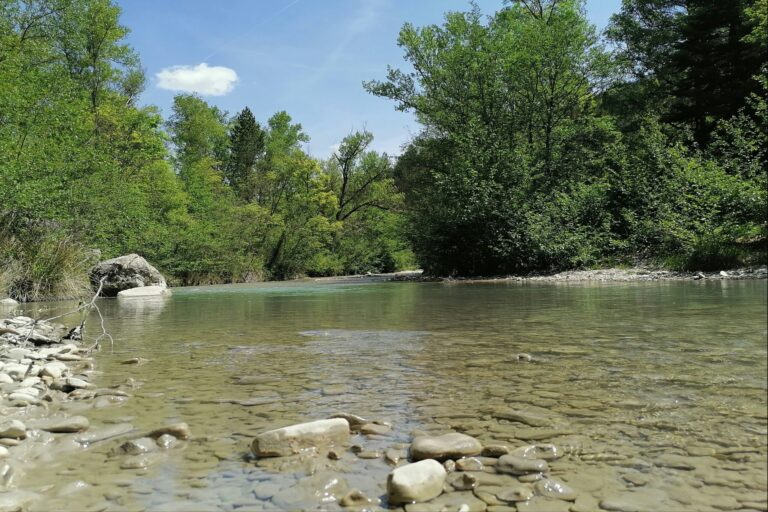 Camping L'ondine De Provence - Bild 6